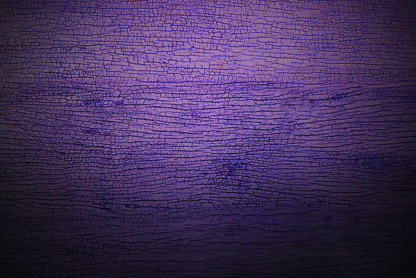 포토 JPG 해외이미지 나무 벽 백그라운드 패턴 자연 벽지 표면 추상 주택 사람없음 목재 초록색 빛 공백 수확 판넬 거친 널 낟알 질감 복고 파란배경 녹색배경 내추럴 옛날 줄서기 해외202004 해외포토 식물 컬러 무늬 농업 재료 모션 건물 파란색 생태계 파일형식 이미지허브