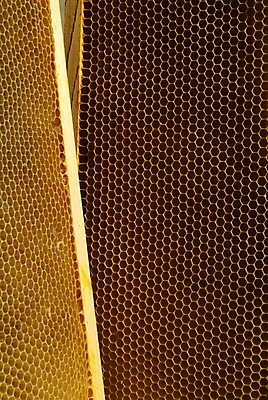 포토 JPG 해외이미지 식물 동물 꽃 음식 곤충 백그라운드 패턴 농업 자연 프레임 세포 건강 사람없음 약 환경 벚꽃 머리빗 황금 닫기 달콤 꿀벌 먹기 영화 유기농 바쁨 꽃가루 꿀 벌집 내추럴 밀랍 식민지 양봉 양봉장 해외202004 해외포토 웰빙 산업 무늬 의학 모션 문화예술 미용용품 맛 벌_곤충 가루 생태계 파일형식 이미지허브