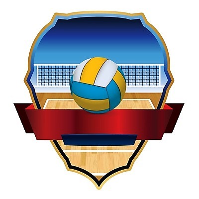 EPS 해외이미지 디자인 배너 스포츠 일러스트 공 바닥 실내 경기 목재 경쟁 게임 그물 배구 물개 배지 스파이크 고립 법정 토너먼트 카피스페이스 현실 해외202004 해외일러스트 나무 컨셉 재료 포유류 놀이 내부 구기 바다동물 공백 파일형식 벡터 이미지허브