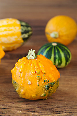 포토 JPG 해외이미지 계절 백그라운드 호박 사람없음 장식 갈색 노란색 가을 시골 해외202004 해외포토 컬러 채소 파일형식 이미지허브