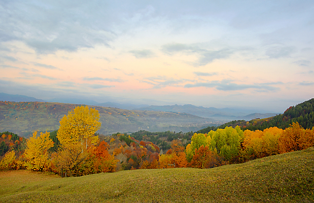 포토 JPG 해외이미지 나무 계절 길 여행 백그라운드 잎 자연 아침 조명 산 주택 풍경 사람없음 야외 빨간색 빛 컬러풀 노란색 마을 일출 환경 일몰 활발 안개 가을 저녁 숲 10월 내추럴 강렬 절정 해외202004 해외포토 주간 식물 컬러 컨셉 날씨 건물 노을 날짜 야간 생태계 파일형식 이미지허브