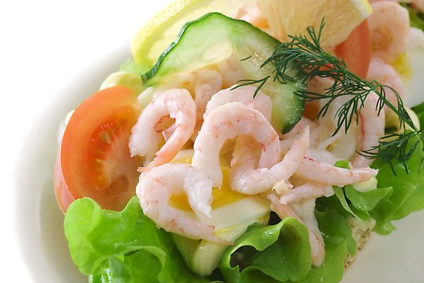 포토 JPG 해외이미지 음식 토마토 오이 새우 샌드위치 사람없음 계란 닫기 상추 레몬 마요네즈 딜 해외202004 해외포토 채소 과일 모션 갑각류 알 소스_음식 파일형식 이미지허브