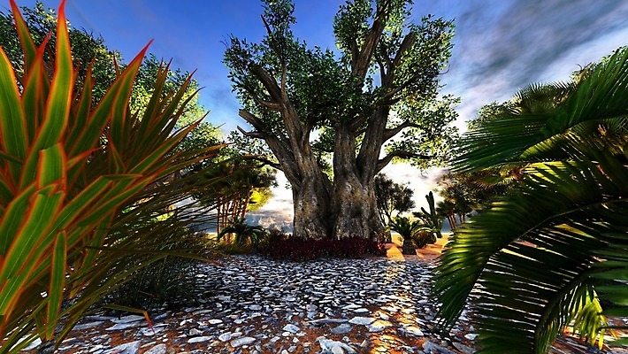 포토 JPG 해외이미지 식물 공원 아침 손바닥 사람없음 일출 일몰 새벽 사막 시골 뜨거움 황무지 티켓 숲 영토 예약 사바나 오지 평야 해외202004 해외포토 주간 자연요소 손 공공시설 자연 노을 파일형식 이미지허브