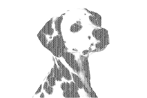 포토 JPG 해외이미지 동물 템플릿 캐릭터 디자인 알파벳 교육 행복 어린이 백그라운드 일러스트 텍스트 흑백 타이포그라피 사람없음 그래픽 책 세트 유치원 흰색 개 만화 편지 수집 사인 코믹 악어 페이지 고립 달마시안 색칠공부 해외202004 해외포토 문자 영어 감정 컬러 포유류 파충류 촬영기법 사람 학습 색칠 파일형식 이미지허브