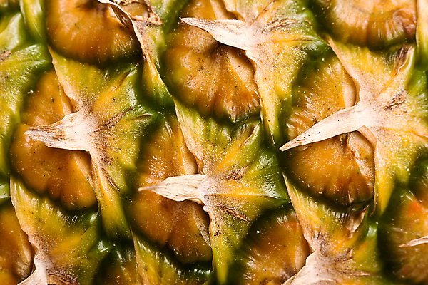 포토 JPG 해외이미지 열매 음식 백그라운드 다이어트 과일 자연 디저트 건강 사람없음 장식 빨간색 컬러풀 식당 대접 신선 달콤 맛 아침식사 설탕 먹기 파인애플 유기농 블루베리 산딸기 블랙베리 숙성 해외202004 해외포토 식물 웰빙 컬러 컨셉 모션 상점 식사 열대과일 생태계 파일형식 이미지허브