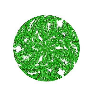 EPS 해외이미지 나무 식물 전통 디자인 계절 줄기 백그라운드 크리스마스 겨울 패턴 일러스트 자연 휴가 새로움 목재 장식 초록색 축제 흰색 나뭇가지 축하 신선 소나무 원형 숲 자르기 연도 심볼 유기농 상록수 침엽수 전나무 내추럴 고립 벌거벗은 가문비나무 해외202004 해외일러스트 도형 웰빙 기념일 컬러 컨셉 무늬 재료 모션 생태계 파일형식 벡터 이미지허브