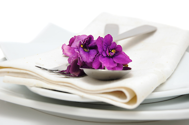 포토 JPG 해외이미지 식기 접시 꽃 포크 호텔 사람없음 장식 식당 숟가락 식사 카페 면 제비꽃 오브젝트 냅킨 소재 스테인레스 철강 스타일 해외202004 해외포토 식물 숙소 수저 상점 파일형식 이미지허브