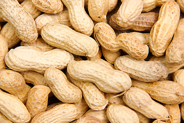 포토 JPG 해외이미지 스튜디오촬영 식물 음식 백그라운드 다이어트 재료 자연 탁자 건조 건강 요리 씨앗 사람없음 목재 갈색 노란색 주방 견과류 껍질 흰색 신선 그룹 사발 맛 아침식사 컨테이너 먹기 오브젝트 유기농 날것 땅콩 내추럴 고립 단백질 채식주의자 비건 해외202004 해외포토 나무 웰빙 산업 컬러 가구 컨셉 모션 실내 식사 사기그릇 생태계 채식 영양소 파일형식 이미지허브