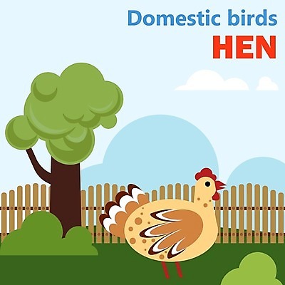 EPS 해외이미지 동물 캐릭터 영어 교육 어린이 일러스트 교실 학교 자연 놀이 조류 수업 동물원 그래픽 단어 스터디 컬러풀 농장 치킨 가축 유치원 게임 시골 신용카드 가르침 플랫 만화 심볼 그림 심플 페이지 맞춤법 밭일 암탉 해외202004 해외일러스트 일러캐릭터 문자 컬러 농업 사람 한글 금융 학습 닭 암컷 생태계 닭고기요리 파일형식 벡터 이미지허브