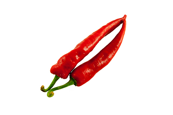 포토 JPG 해외이미지 음식 줄기 채소 자연 고추 피망 건강 사람없음 초록색 활발 흰색 신선 뜨거움 향신료 오브젝트 싱글 유기농 고립 숙성 해외202004 해외포토 식물 웰빙 컬러 컨셉 생태계 향미료 파일형식 이미지허브