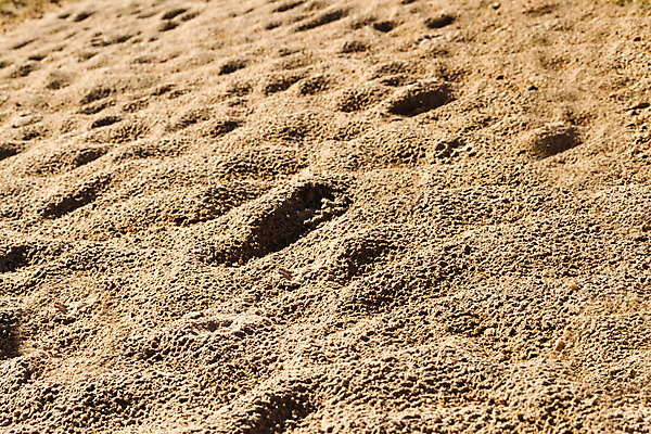 포토 JPG 해외이미지 디자인 모래 바다 여행 백그라운드 패턴 자연 벽지 추상 휴가 건조 사람없음 야외 모래사장 갈색 노란색 사막 모래언덕 질감 내추럴 해외202004 해외포토 컬러 무늬 언덕 생태계 파일형식 이미지허브