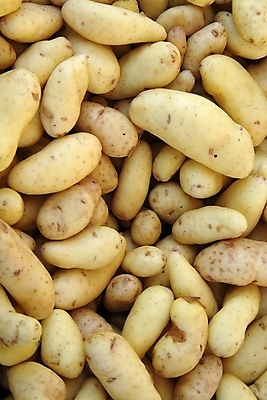 포토 JPG 해외이미지 웰빙 채소 감자 사람없음 하이앵글 신선 유기농 해외202004 해외포토 뷰포인트 파일형식 이미지허브