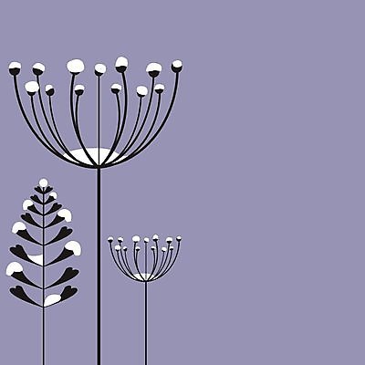 EPS 해외이미지 식물 행복 별 리본 조각 백그라운드 크리스마스 겨울 일러스트 텍스트 공 휴가 장식 빛 검은색 축제 장식볼 흰색 축하 판넬 신용카드 눈송이 황금 은색 소프트포커스 샴페인 연도 크림 활 광택 내추럴 카피스페이스 해외202004 해외일러스트 자연요소 계절 기념일 감정 컬러 컨셉 주류 눈_날씨 촬영기법 금융 공백 파일형식 벡터 이미지허브