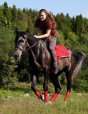 포토 JPG 해외이미지 동물 백인 1 여자 갈색머리 한명 사람 야외 10대 햇빛 검은색 산책 시골 승마 승차 웨이브 장면 갈기 굴레 앞머리 채찍 해외202004 해외포토 서양인 헤어스타일 스포츠 컬러 모션 청소년 휴식 태양 파일형식 이미지허브