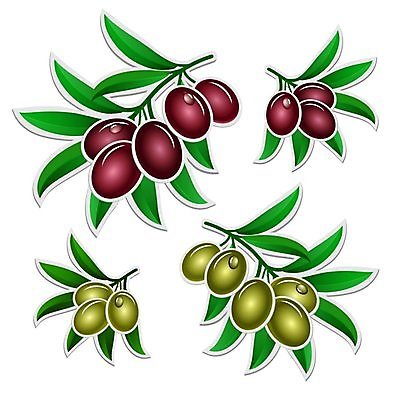 EPS 해외이미지 나무 디자인 음식 줄기 백그라운드 잎 과일 일러스트 자연 추상 건강 미술 그래픽 장식 초록색 활발 흰색 떨어짐 상품 큼 먹기 심볼 오브젝트 싱글 상쾌 그림 에코 유기농 올리브 클립 내추럴 생태학 엘리먼트 해외202004 해외일러스트 식물 웰빙 교육 열매 감정 컬러 컨셉 무늬 모션 문화예술 환경 크기 생태계 파일형식 벡터 이미지허브