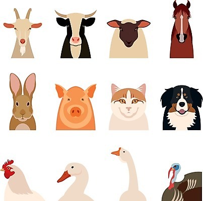 EPS 해외이미지 동물 여러마리 일러스트 염소 오리 사람없음 세트 머리 고양이 토끼 닭 말_동물 돼지 강아지 백조 해외202004 해외일러스트 다수 포유류 조류 신체부위 반려동물 개 파일형식 벡터 이미지허브