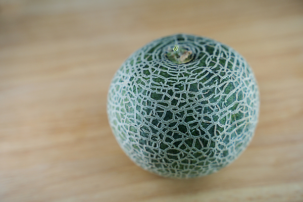 포토 JPG 해외이미지 식물 전통 접시 디자인 음식 패턴 채소 과일 공 자연 조개 디저트 오이 생물 수박 사람없음 장식 케이크 꽃병 식사 튤립 껍질 무덤 항아리 도자기 원형 닫기 멜론 질감 산딸기 박 나무숟가락 요거트 와플 여의주 해외202004 해외포토 도형 식기 꽃 무늬 모션 어패류 유제품 숟가락 생태계 파일형식 이미지허브