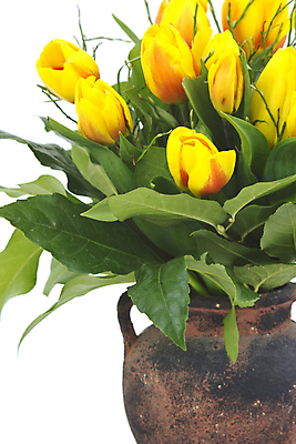 포토 JPG 해외이미지 식물 계절 기념일 꽃잎 꽃 줄기 꽃다발 잎 꽃무늬 자연 휴가 부활절 발렌타인데이 선물 사랑 사람없음 장식 빨간색 세로 초록색 물 노란색 머리 꽃병 침묵 봄 튤립 벚꽃 흰색 축하 인사 신선 생일 4월 다발 배열 심플 고립 해외202004 해외포토 자연요소 감정 컬러 컨셉 무늬 데이이벤트 이벤트 신체부위 소리 예절 날짜 생태계 파일형식 이미지허브