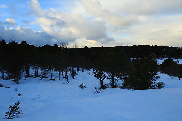 포토 JPG 해외이미지 나무 겨울 자국 자연 하늘 산 파노라마 노르웨이 풍경 사람없음 파란색 여행객 계곡 등산 트래킹 바위 흰색 정상 숲 언덕 해외202004 해외포토 식물 계절 유럽 컬러 레저 촬영기법 사람 돌_바위 생태계 파일형식 이미지허브