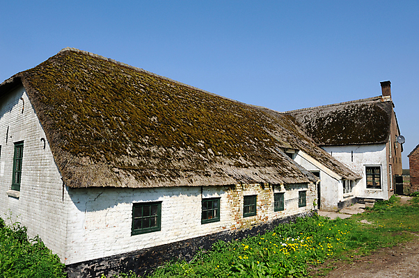 포토 JPG 해외이미지 외관 지붕 주택 풍경 사람없음 농가 농장 흰색 네덜란드 밀짚 옛날 해외202004 해외포토 유럽 컬러 농업 건물 짚 파일형식 이미지허브