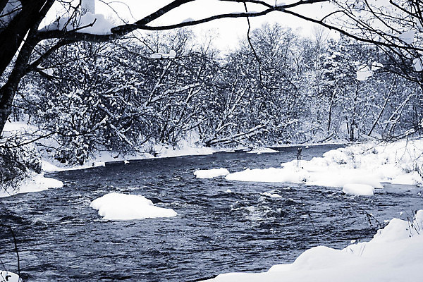 포토 JPG 해외이미지 나무 계절 백그라운드 크리스마스 겨울 자연 벽지 하늘 휴가 흑백 풍경 사람없음 물 파란색 강 햇빛 반사 평화 맑음 냉동 얼음 검은색 침묵 거울 추위 흰색 신선 개울 황무지 숲 시원함 북극 서리 장면 결정체 눈보라 1월 2월 감탄 해외202004 해외포토 자연요소 식물 기념일 컬러 컨셉 날씨 눈_날씨 촬영기법 태양 소리 날짜 극지방 생태계 파일형식 이미지허브