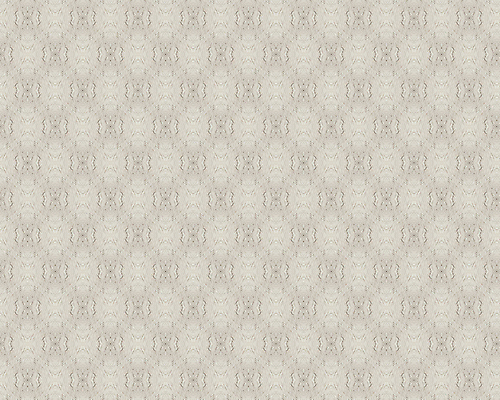 포토 JPG 해외이미지 디자인 종이 벽 백그라운드 패턴 일러스트 자연 벽지 표면 추상 미술 사람없음 내부 그래픽 장식 빛 유행 우주 검은색 페인트 공백 회색 수확 골동품 흰색 시골 직물 거친 고급 편지 질감 복고 캔버스 페이지 시트 내추럴 그런지 스크랩북 옛날 스타일 해외202004 해외포토 컬러 컨셉 무늬 농업 문화예술 생태계 파일형식 이미지허브