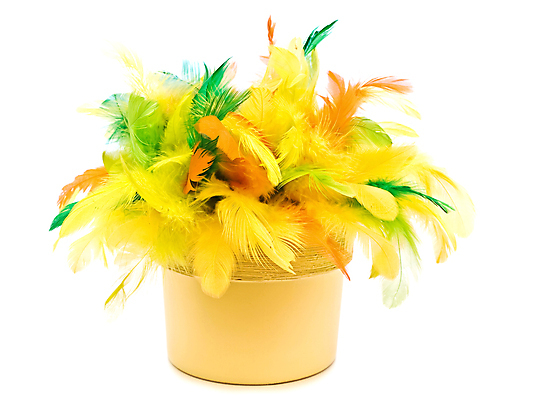 포토 JPG 해외이미지 전통 계절 꽃다발 휴가 친절 부활절 사람없음 장식 컬러풀 축제 봄 흐름 냄비 4월 심볼 깃털 흰배경 부드러움 솜털 내추럴 구성 오리지널 취급주의 해외202004 해외포토 기념일 꽃 컬러 백그라운드 컨셉 경고 흰색 감각 날짜 솥 파일형식 이미지허브