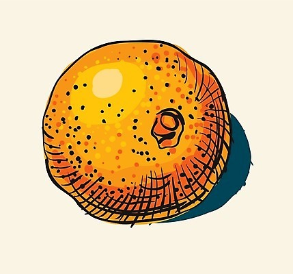 EPS 해외이미지 음식 백그라운드 오렌지 과일 일러스트 자연 추상 수채화 건강 미술 그래픽 여름 빛 노란색 페인트 물감 주스 흰색 신선 맛 오브젝트 그림 유기농 질감 내추럴 고립 해외202004 해외일러스트 웰빙 계절 음료 컬러 컨셉 무늬 문화예술 미술도구 생태계 파일형식 벡터 이미지허브