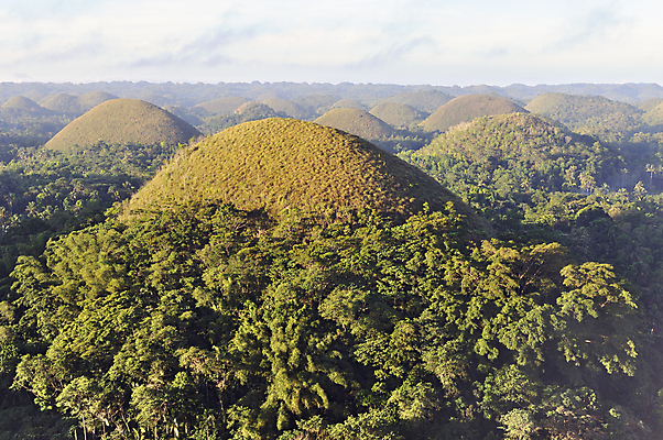포토 JPG 해외이미지 자연 하늘 풍경 사람없음 야외 일출 초콜릿 새벽 숲 언덕 지질학 해외202004 해외포토 자연요소 교육 디저트 노을 생태계 파일형식 이미지허브
