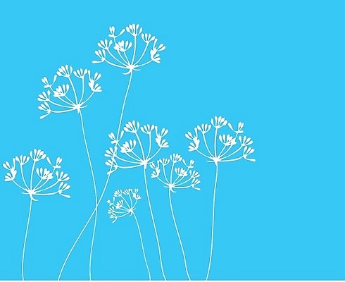 EPS 해외이미지 꽃 백그라운드 일러스트 약 신선 허브 향신료 회향 해외202004 해외일러스트 식물 의학 향미료 파일형식 벡터 이미지허브