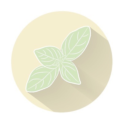 EPS 해외이미지 클립아트 식물 디자인 음식 잎 일러스트 비즈니스 재료 자연 건강 그림자 요리 미술 그래픽 주방 정원 웹 봄 신선 양념 플랫 어플리케이션 수프 땅 허브 심볼 향신료 유기농 클립 향 토기 상록수 바질 내추럴 고립 채식주의자 비건 해외202004 해외일러스트 웰빙 계절 인터넷 문화예술 용기 생태계 채식 향미료 파일형식 벡터 그릇 식기 이미지허브