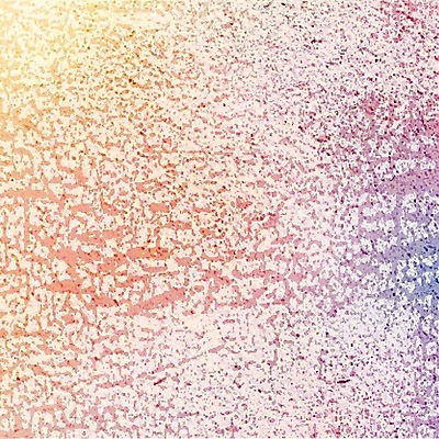 EPS 해외이미지 템플릿 디자인 벽 백그라운드 일러스트 벽지 표면 추상 잉크 프레임 미술 그래픽 장식 세트 페인트 손상 고통 수확 바위 붓 점 거친 균열 가장자리 떨어짐 스케치 수집 고민 질감 복고 시멘트 먼지 덮기 그런지 엘리먼트 옛날 효과 해외202004 해외일러스트 감정 컨셉 무늬 농업 모션 문화예술 돌_바위 둘레 파일형식 벡터 이미지허브