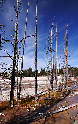 포토 JPG 해외이미지 나무 구름 공원 호수 자연 하늘 풍경 사람없음 물 파란색 얼음 봄 손상 나뭇가지 고독 다리찢기 벌거벗은 와이오밍 전국 해외202004 해외포토 자연요소 식물 계절 공공시설 감정 컬러 컨셉 모션 생태계 파일형식 이미지허브