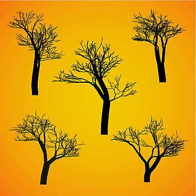 EPS 해외이미지 나무 식물 공원 실루엣 줄기 잎 농업 일러스트 자연 건강 손바닥 미술 풍경 야외 목재 초록색 세트 정원 검은색 나뭇가지 그룹 숲 작음 큼 싱글 내추럴 고립 생태학 해로움 현실 해외202004 해외일러스트 손 공공시설 교육 산업 컬러 컨셉 재료 문화예술 촬영기법 크기 생태계 파일형식 벡터 이미지허브