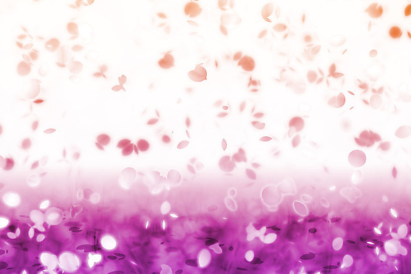 JPG 해외이미지 꽃잎 꽃 백그라운드 일러스트 사람없음 보라색 그라데이션 카피스페이스 해외202004 해외일러스트 식물 컬러 공백 파일형식 이미지허브