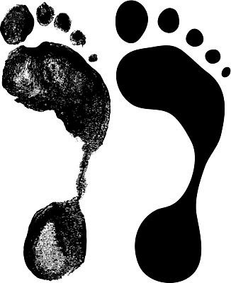 EPS 해외이미지 일러스트 손가락 맨발 잉크 사람 그래픽 검은색 흰색 인쇄 발자국 흔적 신분 윤곽 트랙 증거 발가락 우표 단계 고립 선로 양발 지문 각인 해외202004 해외일러스트 손 컬러 자국 발 파일형식 벡터 이미지허브