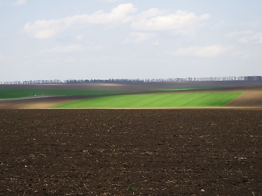 포토 JPG 해외이미지 계절 밭 농업 자연 하늘 풍경 사람없음 야외 초록색 농장 봄 시골 땅 내추럴 수평선 해외202004 해외포토 산업 컬러 생태계 파일형식 이미지허브