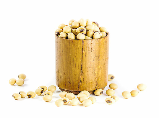 포토 JPG 해외이미지 식물 음식 농업 다이어트 채소 재료 콩 건조 건강 씨앗 사람없음 목재 컵 갈색 노란색 그룹 사발 낟알 유기농 질감 날것 섬유 고립 단백질 대두 해외202004 해외포토 나무 식기 웰빙 산업 컬러 곡류 직물 사기그릇 영양소 파일형식 이미지허브