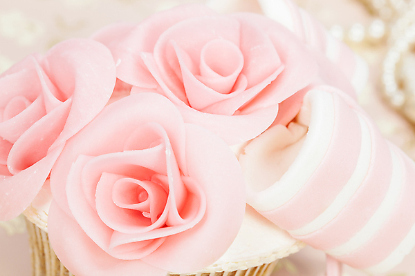 포토 JPG 해외이미지 1 꽃 음식 분홍색 결혼 디저트 사람없음 장식 장미 케이크 얼음 수확 흰색 화려 고급 선택 달콤 컵케이크 굽기 배열 뿌리기 크림 모음 고립 반투명 휘핑크림 많음 프로스팅 해외202004 해외포토 자연요소 식물 컬러 컨셉 농업 모션 이벤트 한글 맛 구이 제빵 휘핑 파일형식 이미지허브