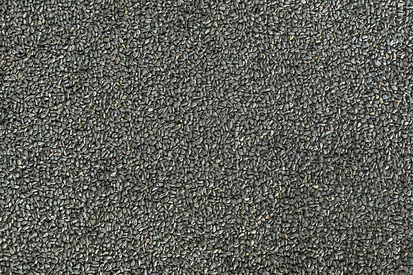 포토 JPG 해외이미지 음식 백그라운드 재료 건조 건강 요리 씨앗 동양인 사람없음 검은색 흰색 양념 맛 인도인 향신료 향료 로마인 해외202004 해외포토 외국인 식물 컬러 컨셉 인종 향기 냄새 향미료 파일형식 이미지허브