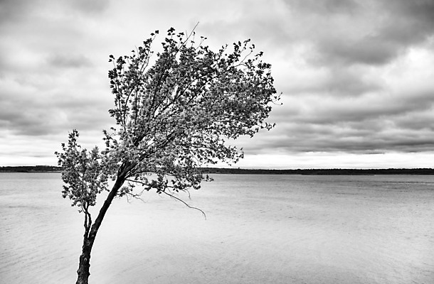 포토 JPG 해외이미지 구름 문화 여행 건축양식 하늘 휴가 주택 흑백 풍경 사람없음 건물 보트 역사 장면 포트 타운 전국 해외202004 해외포토 자연요소 건축물 건축 배_교통 촬영기법 도시 파일형식 이미지허브