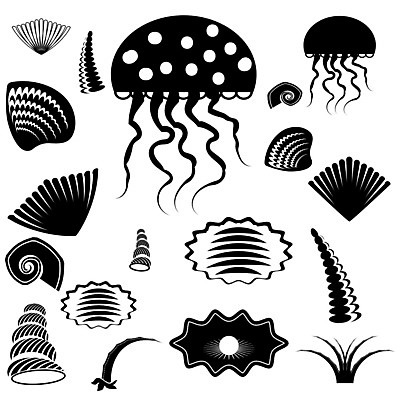 EPS 해외이미지 동물 템플릿 디자인 야생동물 바다 여행 일러스트 자연 휴가 조개 수영장 미술 그래픽 장식 물 여름 세트 수중 수확 소용돌이 껍질 스노클링 수집 그림 휴양지 다이빙 해파리 동물상 소금물 앵무조개 엘리먼트 이국적 스타일 해외202004 해외일러스트 자연요소 계절 농업 문화예술 어패류 조형물 수영 장소 회오리 수상스포츠 자포동물 생태계 수중스포츠 파일형식 벡터 이미지허브
