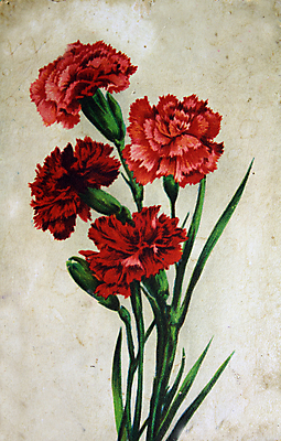 포토 JPG 해외이미지 식물 꽃잎 꽃 줄기 분홍색 꽃무늬 일러스트 미술 사람없음 빨간색 정원 봄 수확 골동품 벚꽃 인사 신선 오픈 신용카드 그리기 역사 재산 인도인 수집 카네이션 묘사 그림 복고 러시아 고립 꽃수술 특별함 해외202004 해외포토 외국인 계절 유럽 컬러 컨셉 무늬 농업 모션 문화예술 동양인 금융 예절 파일형식 이미지허브