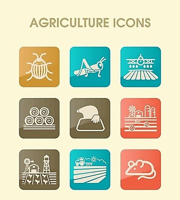 EPS 해외이미지 동물 밭 농업 일러스트 비행기 풍경 사람없음 물 농작물 농장 쌓기 탑 수확 시골 건초더미 볏짚 농부 쥐 먼지떨이 딱정벌레 분무기 트랙터 메뚜기 뭉치 외양간 농약 두더지 밭일 쟁기 콜로라도 해외202004 해외일러스트 자연요소 직업 건축물 산업 곤충 항공교통 모션 대중교통 미국 건초 짚 설치류 농기계 청소도구 특수차량 파일형식 벡터 더미 이미지허브