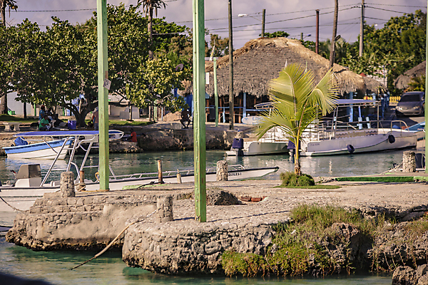 포토 JPG 해외이미지 나무 모래 바다 섬 여행 자연 하늘 휴가 휴식 열대 손바닥 사람 풍경 사람없음 초록색 물 여름 태양 맑음 만 뜨거움 보트 묘사 휴양지 코코넛 석호 모터 카리브해 공화국 도미니카공화국 이국적 인기 파라다이스 해외202004 해외포토 자연요소 식물 손 계절 나라 컬러 컨셉 배_교통 과일 날씨 장소 남아메리카 생태계 파일형식 이미지허브