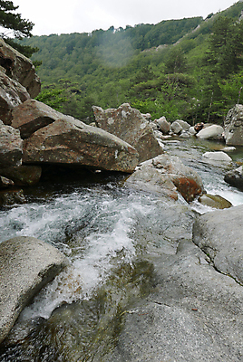 포토 JPG 해외이미지 영어 바다 섬 여행 자연 갈매기 등대 풍경 사람없음 여름 파란색 강 태양 마을 산책 폭포 산책로 하이킹 프랑스 보트 스페인 지중해 순환 페이지 포트 타운 통과 건너기 다도해 마르세유 코르시카 해외202004 해외포토 자연요소 문자 계절 유럽 길 컬러 배_교통 모션 조류 레저 휴식 도시 생태계 파일형식 이미지허브
