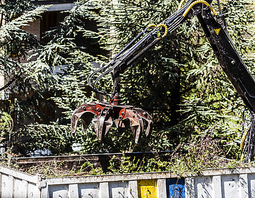 포토 JPG 해외이미지 나무 자연 사람없음 빨간색 금속 검은색 힘 트럭 화물 나뭇가지 잡기 도시 업무 쓰레기 팔 공학 내추럴 해외202004 해외포토 식물 교육 컬러 모션 자동차 재질 신체부위 운송업 작업 생태계 파일형식 이미지허브