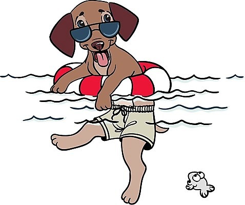 EPS 해외이미지 클립아트 동물 캐릭터 행복 물결 일러스트 포유류 응원 휴식 오리 수영장 미소 웃음 물 반려동물 스파 목욕 거품 흰색 유머 개 강아지 빨래 만화 황소 클립 비누 불독 고무 몸단장 송곳니 기르기 마스코트 샤워실 유래 해외202004 해외일러스트 일러캐릭터 자연요소 감정 컬러 컨셉 가사 조류 표정 위생용품 청결 소 치아 돌봄 샤워시설 파일형식 벡터 이미지허브