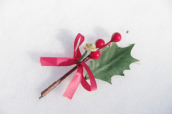 포토 JPG 해외이미지 식물 알파벳 계절 열매 백그라운드 잎 크리스마스 겨울 자연 휴가 선물 사람없음 장식 빨간색 초록색 파티 축제 흰색 나뭇가지 닫기 12월 편지 심볼 스파이크 고립 해외202004 해외포토 나무 영어 기념일 컬러 모션 이벤트 날짜 생태계 파일형식 이미지허브