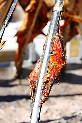 포토 JPG 해외이미지 음식 불 불꽃 육류 어류 요리 사람없음 야외 축제 바비큐 굽기 벽난로 턱 잉어 재 해외202004 해외포토 자연요소 식재료 수중동물 구이 파일형식 이미지허브